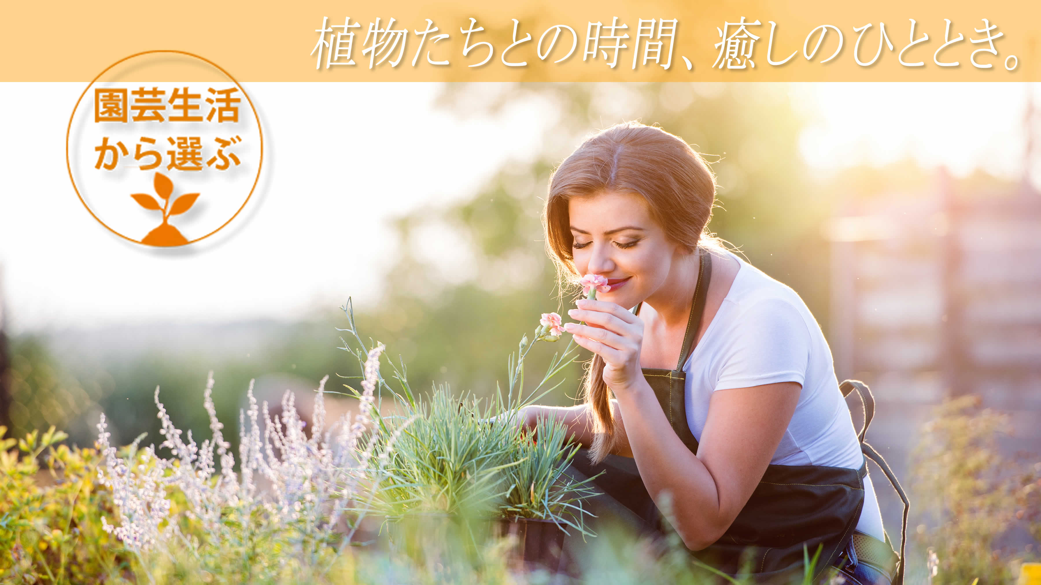 園芸生活カテゴリー、ギフト用鉢植えのお花、観葉、多肉の通販専門店