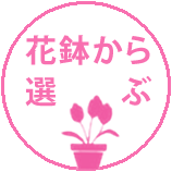 花鉢カテゴリー、ギフト用鉢植えのお花、観葉、多肉の通販専門店